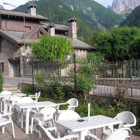 Pineta Hotel 3*