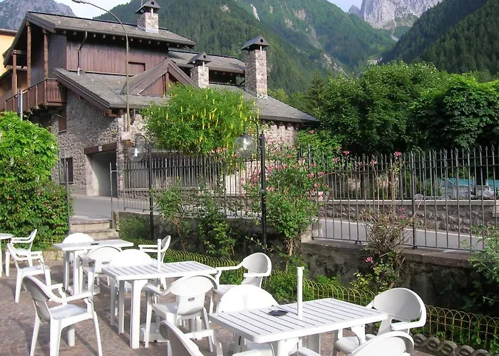 Pineta Hotel 3*